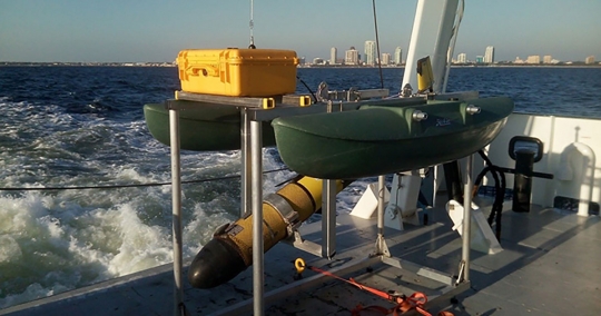 CSA Scientist Collaborates with Marine Acoustic Experts at USF’s College of Marine Science