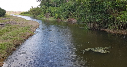 CSA Concludes an Ecological Risk Assessment in the Gulf of Paria, Trinidad