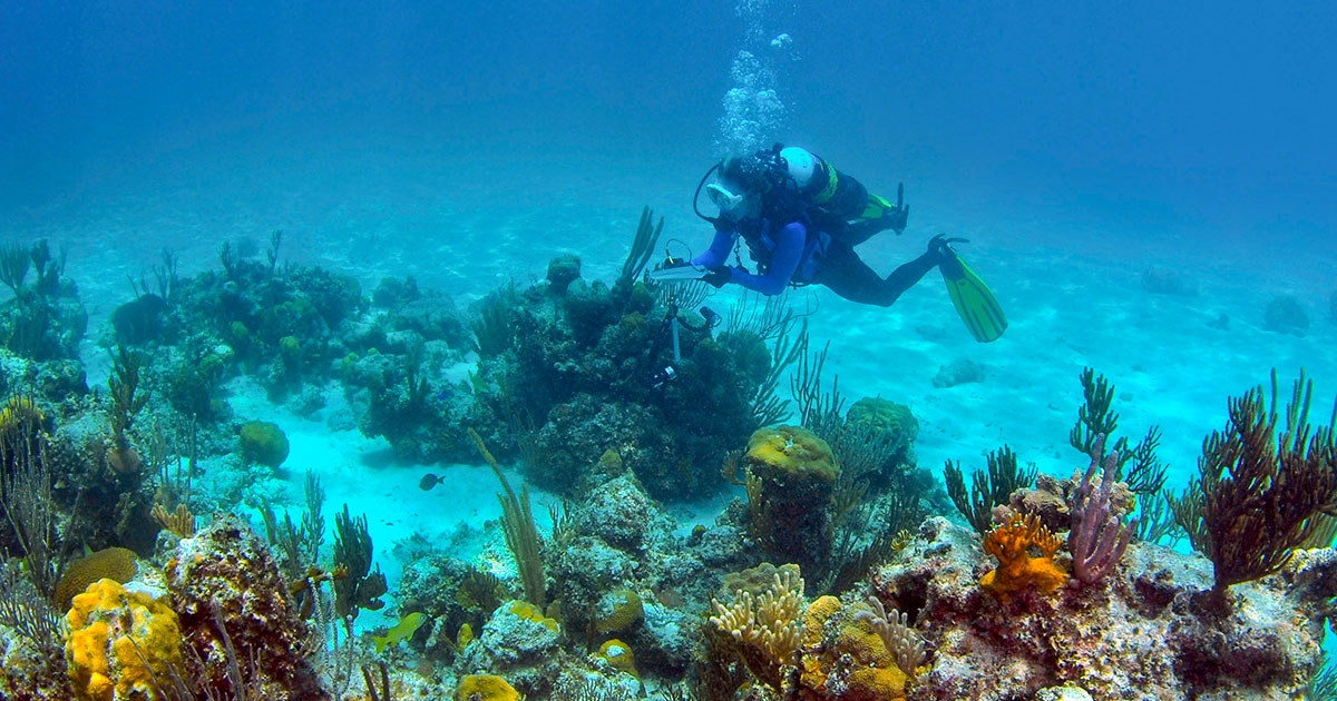 Atlantic Hurricane Season: The Perfect Storm for Coral Reefs?