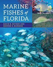 Marine Fishes of Florida Cover