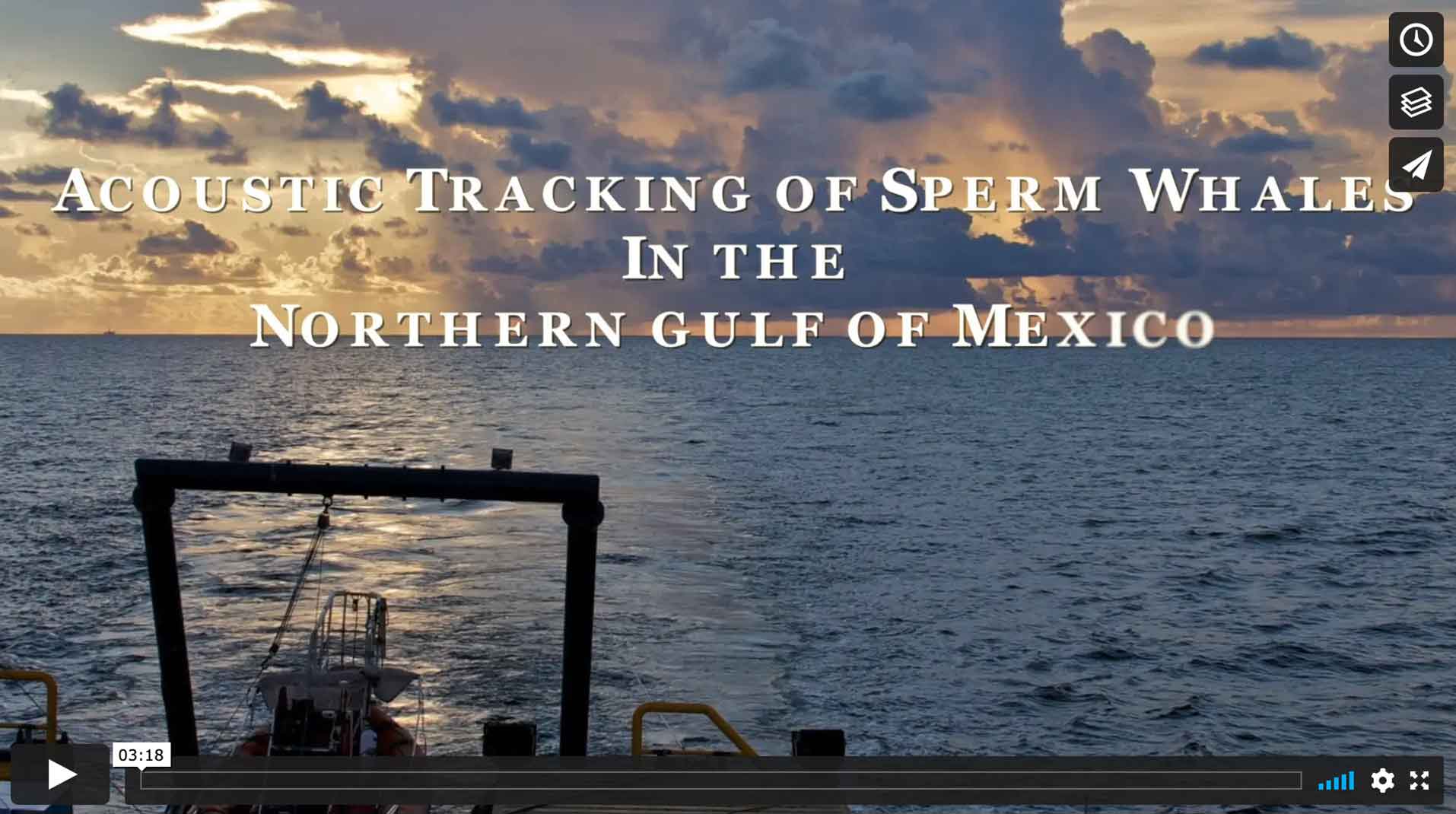 Acoustic Tracking of Sperm Whales in the Northern Gulf of Mexico